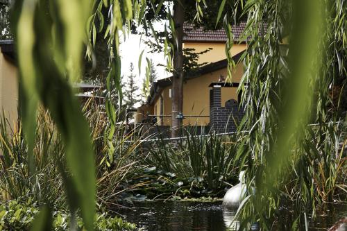 a house is seen through the vegetation of a pond at Paulshöhe in Waren