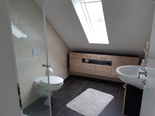 a bathroom with a toilet and a sink and a skylight at Pension am Sonnenhof in Schmalkalden