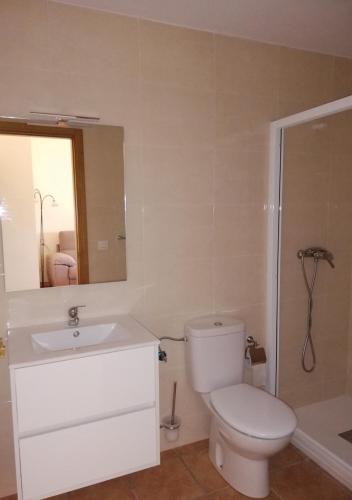a bathroom with a toilet and a sink and a mirror at Torrehermosa Rural in Torrehermosa