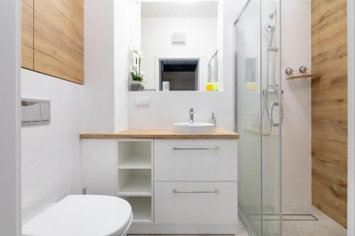 a bathroom with a sink and a shower at Wola Chic Silver Studio in Warsaw