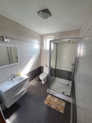 a bathroom with a shower and a sink and a toilet at Penzion M.L.K in Hlohovec