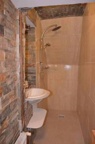 a bathroom with a sink and a shower at Villa Moncoeur in Le Blanc