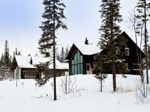 a house in the snow with trees in front at Ottsjö Bear Lodge in Ottsjö