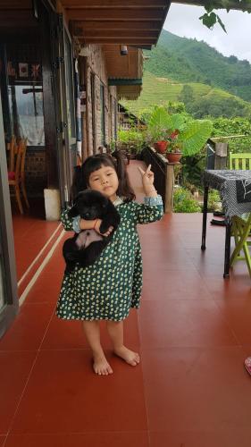 a little girl in a green dress holding a cat at Tavan View Homestay in Sa Pa