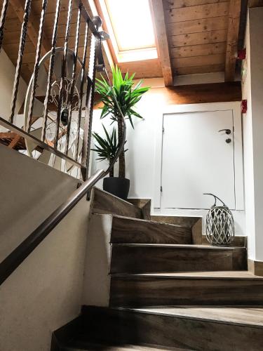 a set of stairs with two potted plants at La Casona de Alútiz & Bodega in Samaniego