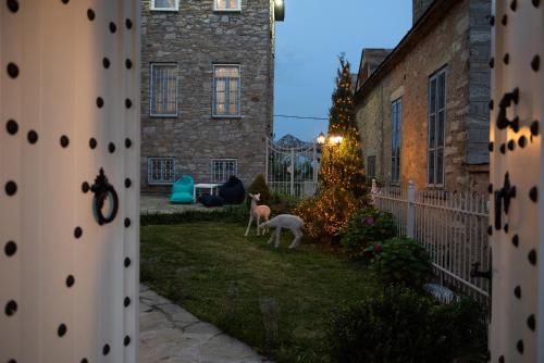 two dogs standing in the yard of a house at Dandy Villas Nymfaio - Snow Fairy - Sauna in Nimfaíon