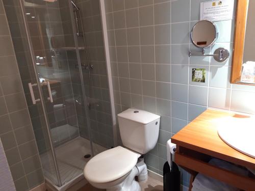 a bathroom with a toilet and a shower and a sink at Logis hôtels Auberge du Château in Saint-Rémy-de-Blot