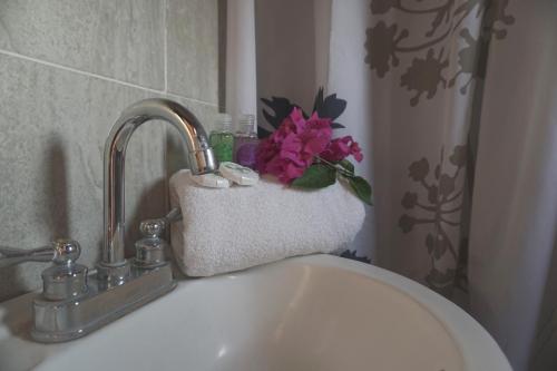 a sink with a faucet with a flower on it at Hotel Aztlan in Jalisco