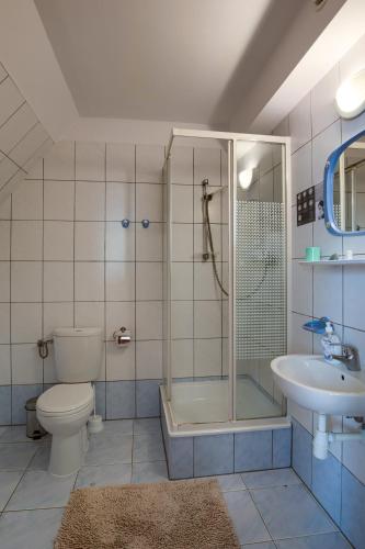 a bathroom with a shower and a toilet and a sink at Zajazd Czorsztyński in Maniowy