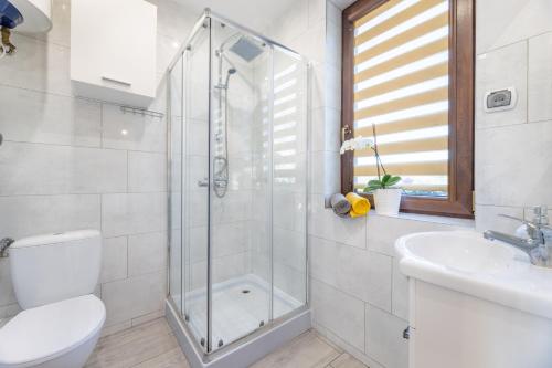 a bathroom with a shower and a toilet and a sink at Domek Pod Holicą in Ustrzyki Dolne