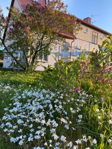 Κήπος έξω από το Skrunda Apartments Rustic