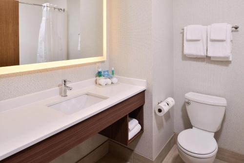 a bathroom with a sink and a toilet and a mirror at Holiday Inn Express & Suites Lacey - Olympia, an IHG Hotel in Lacey