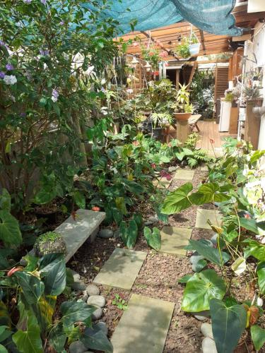 a garden with a stone bench and plants at Ambiance sud sauvage in Saint-Joseph