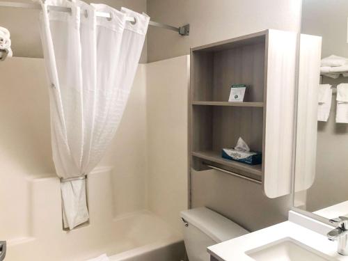a bathroom with a shower curtain and a toilet and a sink at Microtel Inn & Suites by Wyndham Eagan/St Paul in Eagan