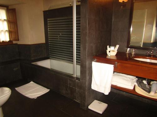 ein Bad mit einer Dusche, einem WC und einem Waschbecken in der Unterkunft Hotel Rural Palacio de Prelo in Boal