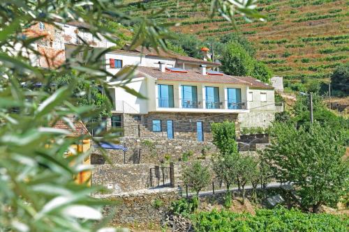 a house on the side of a hill at DouroXisto in Peso da Régua