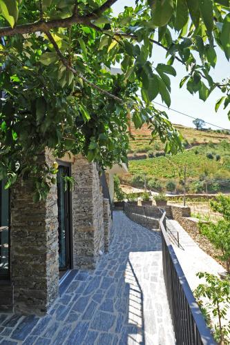 a stone house with a pathway leading to a building at DouroXisto in Peso da Régua