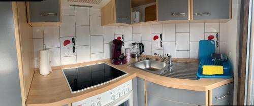 eine kleine Küche mit einer Spüle und einer Theke in der Unterkunft Die Alm in Heimbach