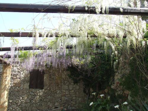Κήπος έξω από το Residencefusaro pajare Specchia