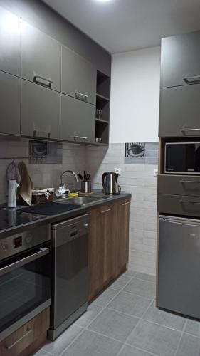 a kitchen with stainless steel appliances and wooden cabinets at Summit rooms , Parking in garage in Niš