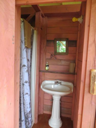 baño con lavabo en una cabaña de madera en La Maison sous les arbres, en Saint Roch de Mekinac