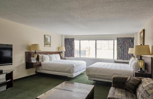 渥太華的住宿－商務酒店，相簿中的一張相片