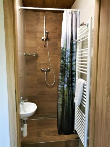 a bathroom with a shower curtain and a sink at Family apartments V Zátiší in Dolní Morava