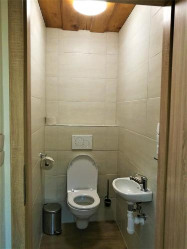 a small bathroom with a toilet and a sink at Family apartments V Zátiší in Dolní Morava
