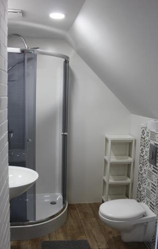 a bathroom with a shower and a toilet and a sink at Agroturystyka Pokoje Stajnia Lidia in Serock