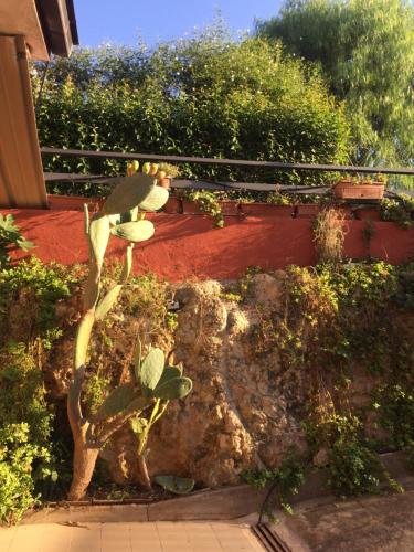 Fontane Bianche Guest Rooms – Photos 2