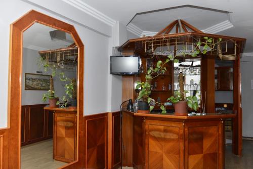 KırklareliにあるBilgic Hotelの鏡と鉢植えの植物を備えた部屋
