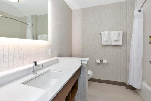 Gallery image of Holiday Inn Express & Suites - Grand Rapids Airport - South, an IHG Hotel in Grand Rapids