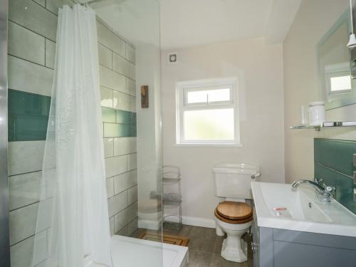 a bathroom with a toilet and a sink and a shower at Fell Foot in Holmrook