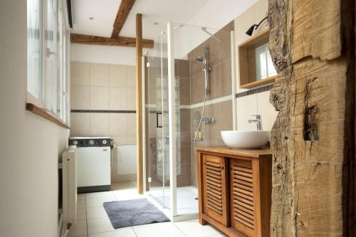 une salle de bain avec un lavabo et une douche dans l'établissement Historic Center - Top location - Thoughtful Host, à Colmar