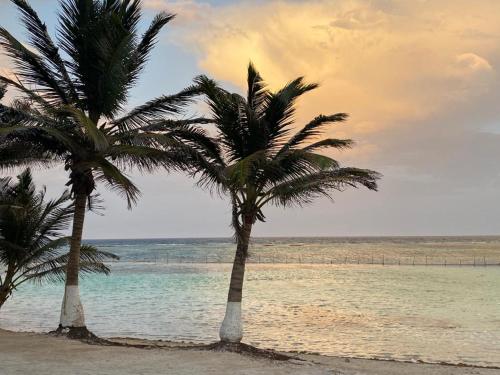 Gallery image of Hotel Blue Reef frente al mar in Mahahual