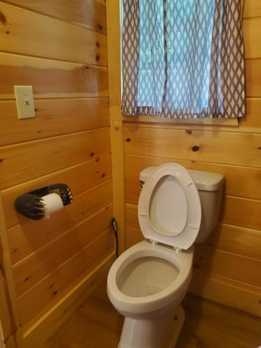 a bathroom with a toilet in a wooden room at The Genoa - An Amish Built Deluxe Cabin in Genoa
