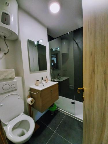 a bathroom with a toilet and a shower and a sink at Cozy Apartment Bovec in Bovec