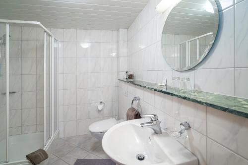 a bathroom with a sink and a mirror and a toilet at Zum Lindenbaum in Finnentrop