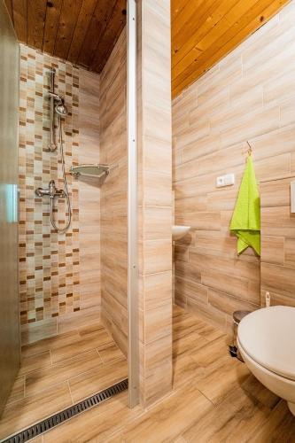 a bathroom with a shower and a toilet at Apartmány U Žaloudků in Dolní Morava