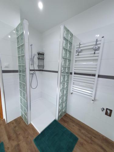 a bathroom with a shower with a green mat at Apartamenty pod Wieżą in Zgorzelec