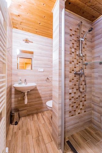 a bathroom with a sink and a shower at Apartmány U Žaloudků in Dolní Morava