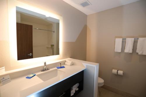 Gallery image of Holiday Inn Express & Suites - Forney by IHG in Forney