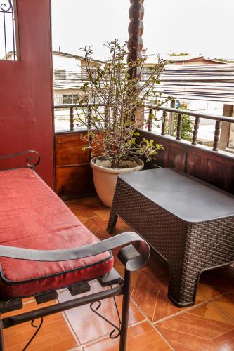 a balcony with a table and a potted plant at Delcafetalcr in San José