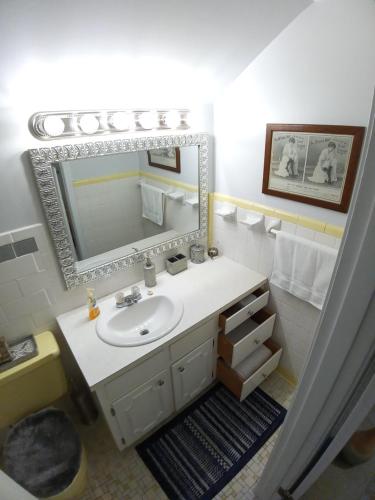 a bathroom with a sink and a mirror at Bohemian Dreamin in Mobile