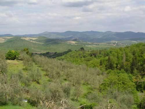 an overhead view of a field with trees and mountains at Borgo Carpineto in Vagliagli