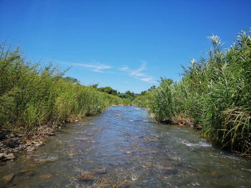 a river through a field of grass with a blue sky at 樂逃園 Leto Retreat 屏東滿州包棟民宿 in Manzhou