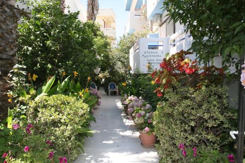 a garden path with flowers and plants at Stergia Apartments in Kardamaina