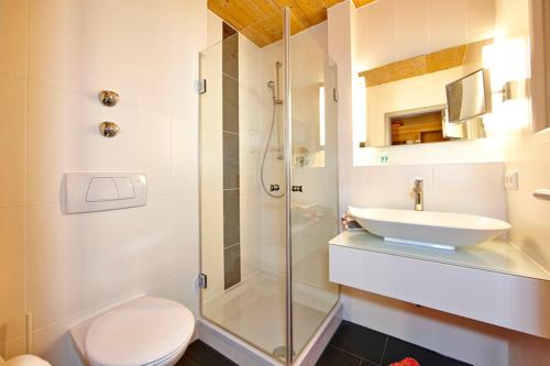 a bathroom with a shower and a toilet and a sink at Hotel am Wiesenhang - Garni in Bad Kohlgrub