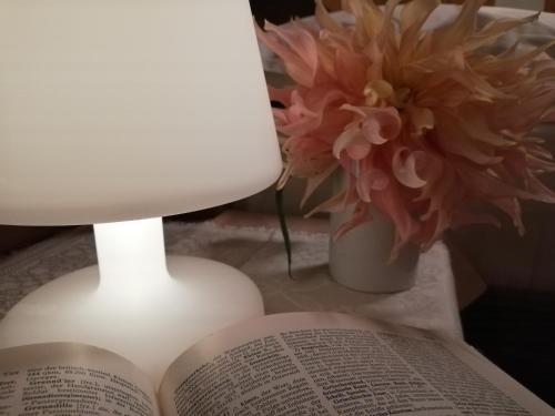 a lamp and an open book next to a vase of flowers at Ansitz Grustdorf in Appiano sulla Strada del Vino