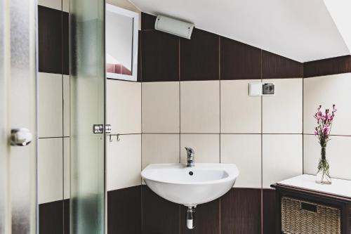 a bathroom with a sink and a mirror at Stajnia Sarnówek in Rozajny Wielkie